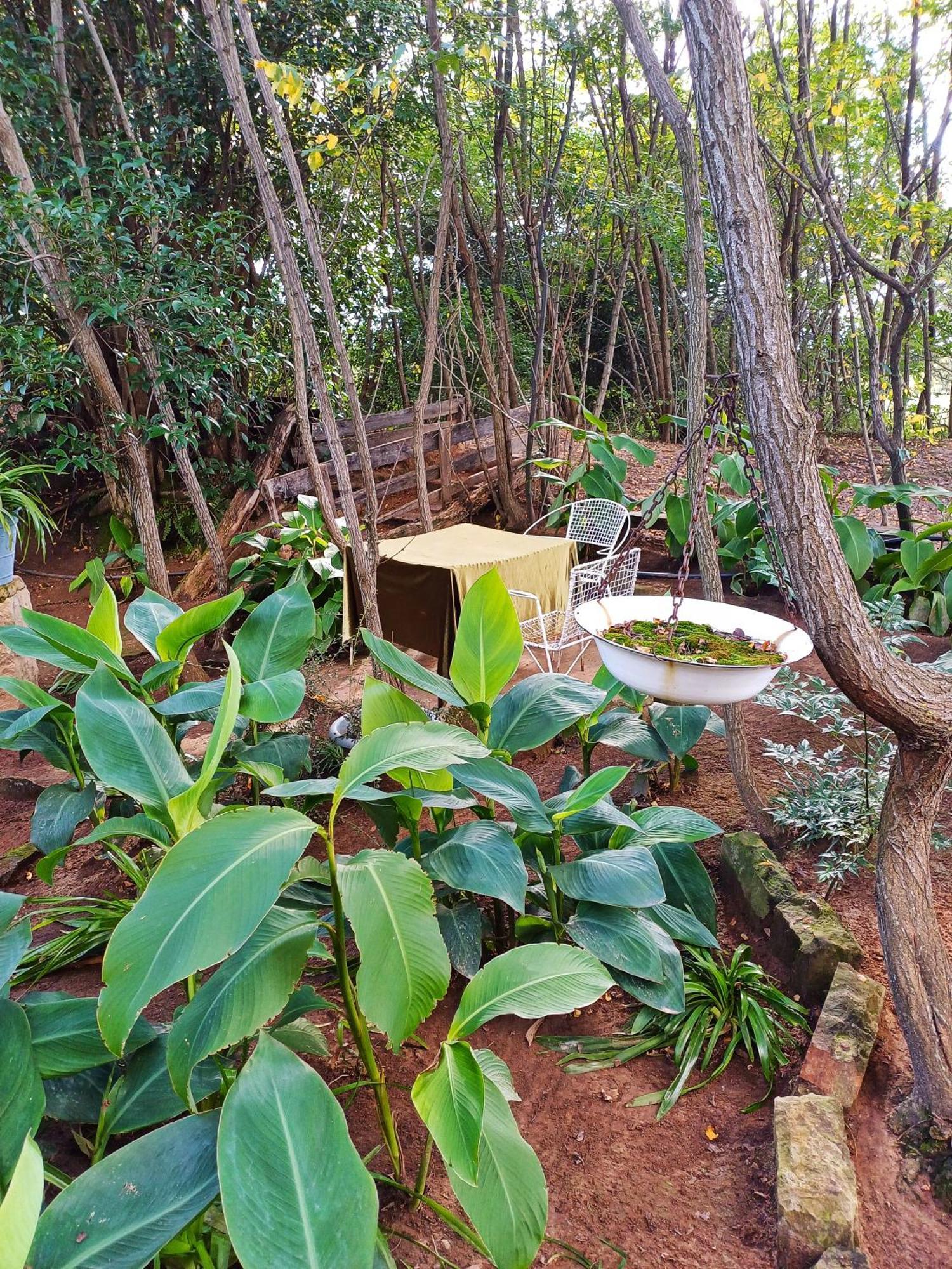 Affi Lande Boetiek Guestfarm Villa Fouriesburg Buitenkant foto