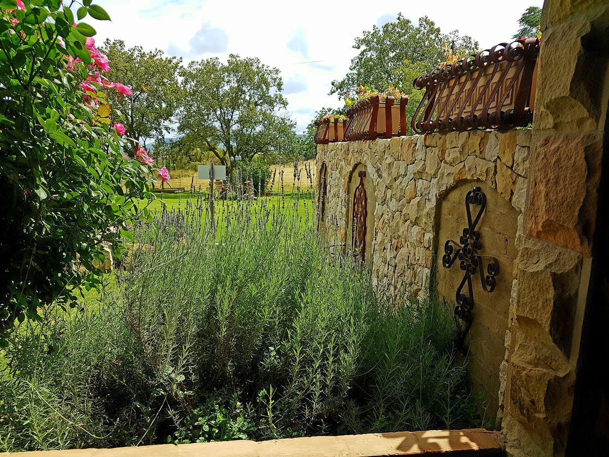 Affi Lande Boetiek Guestfarm Villa Fouriesburg Buitenkant foto